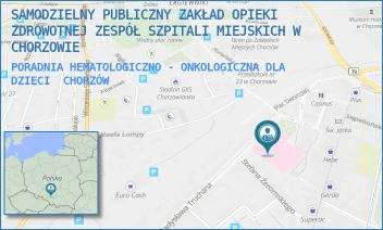 PORADNIA HEMATOLOGICZNO - ONKOLOGICZNA DLA DZIECI - SAMODZIELNY PUBLICZNY ZAKŁAD OPIEKI ZDROWOTNEJ ZESPÓŁ SZPITALI MIEJSKICH W CHORZOWIE - UL. WŁADYSŁAWA TRUCHANA 7,  CHORZÓW